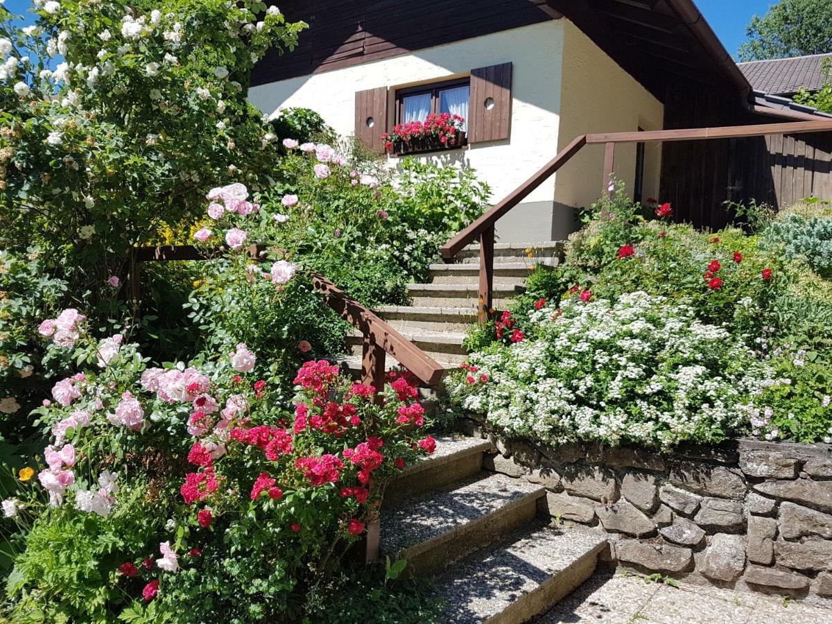 Ferienappartements Mit Herz Bischofsmais Exterior photo
